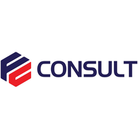 first citi consult limited