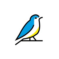 blubird media ltd