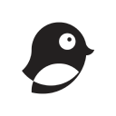 meeting magpie limited