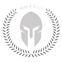 platinum security solutions ltd