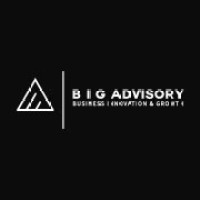 big advisory ltd