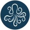 juggling octopus business support ltd