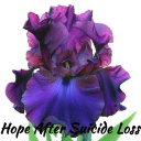 hope after suicide loss ltd
