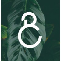 bower collective ltd