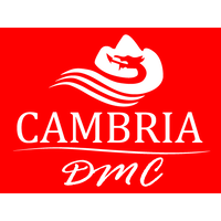 cambria dmc limited