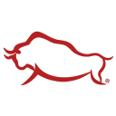 rodizio grill limited