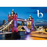 bridger's law limited