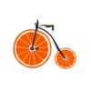 the orange bicycle limited