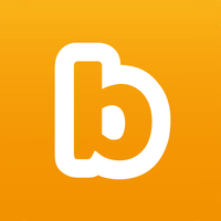 blippar limited
