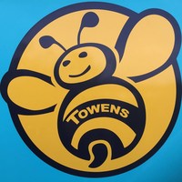 towens group ltd