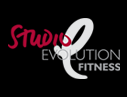 studio evolution limited