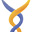 ascendium limited