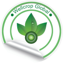 wellcrop global ltd