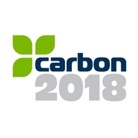 carbon 2018 limited