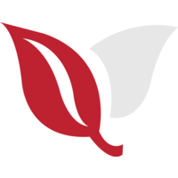 redtree logistics ltd