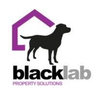 black lab property solutions ltd