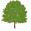 ivolve wales head office ltd