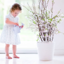 alpha re services ltd