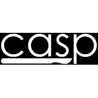 casp technologies ltd