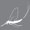 mayfly vintage limited