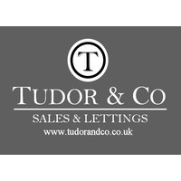 tudor partnership limited