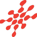 arctic shelf limited