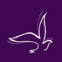 vibrant.global limited