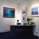 the albany gallery limited