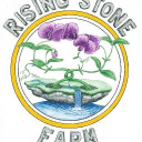 rising stone limited
