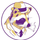 rocky raccoon limited