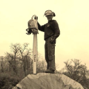 arbor venture tree care ltd