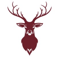 red stag media ltd