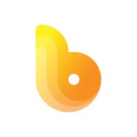 brighter mortgages limited