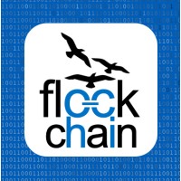 flockchain limited