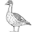 bravegoose ltd