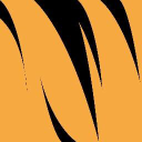 big cat media limited