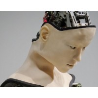 educaitional ventures ltd