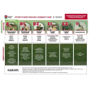 thanet wanderers limited