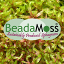 beadamoss limited