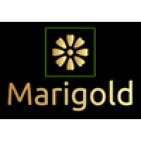marigold consulting ltd