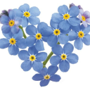 sunnybrook care home limited