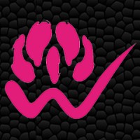 waratah analytics limited