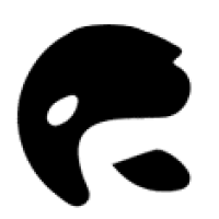 orka investments ltd