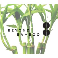 beyond bamboo global limited