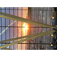 action guidance plus cic