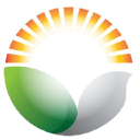 global view consulting limited