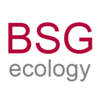bsg ecology ltd