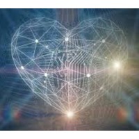 pulse cardiology group ltd