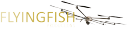 flying fish productions ltd