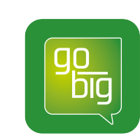 gobig digital ltd